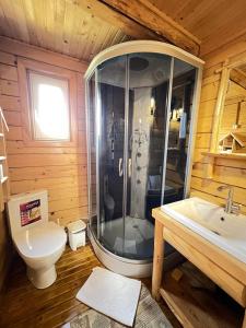 a bathroom with a shower and a toilet at Gesteruv in Sheshory