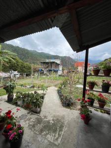a view of a garden with potted plants at Jumusing homestay in Rupa