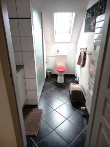 a bathroom with a toilet with a pink lid at A l'Orée du Bois Les Bouleaux in Guewenheim