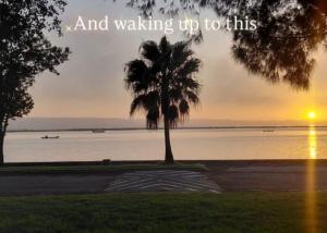 a palm tree sitting next to a body of water at Ocean River in Gqeberha +12 photos