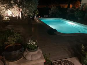 a swimming pool at night with potted plants at Une amazone en Provence in Paradou