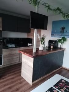 a kitchen with a counter with a television on it at Grand studio cosy et lumineux in La Rochelle +14 photos