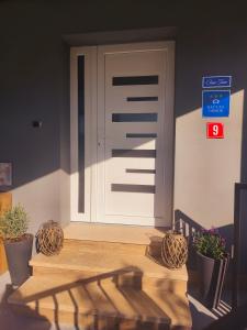 a table with two potted plants in front of a door at Casa Tone in Grdoselo +35 photos