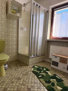 a bathroom with a toilet and a window and a rug at WanderOase Waldblick in Goslar +37 photos