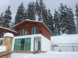 a house covered in snow with trees in the background at Cottage Kokhta Bakuriani in Bakuriani
