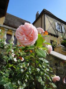 a pink rose in front of a building at Le Tambourinet in Belvès