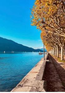 a row of trees next to a body of water at Pure comfort in Entrelacs