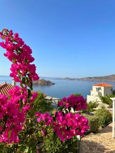 a view of the ocean with pink flowers at Birds Bay Resort in Petra