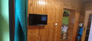a television on a wooden wall in a room at Zlatý Žabák in Suchý