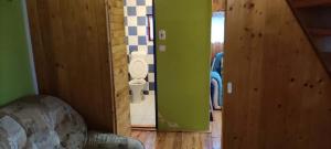 a bathroom with a toilet in a room with green walls at Zlatý Žabák in Suchý