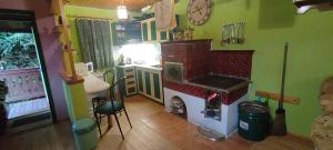 a kitchen with a stove in the middle of a room at Zlatý Žabák in Suchý