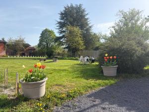 two pots of flowers in the grass in a yard at la Plume in Arrigny