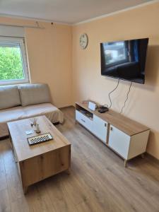 a living room with a couch and a flat screen tv at Apartman Jelena in Surčin