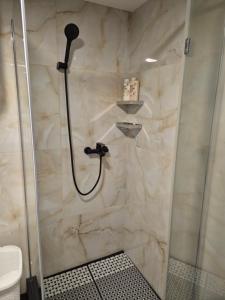 a shower with a glass door in a bathroom at Apartman Jelena in Surčin