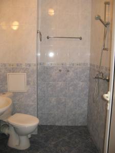 a bathroom with a shower with a toilet and a sink at Hotel Nakra in Radnevo