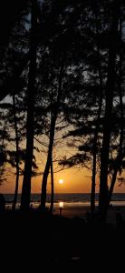 a sunset over a beach with trees and the ocean at Awas Beach Stays in Avas