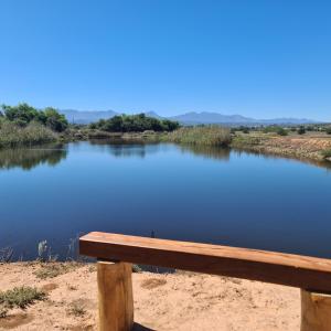a wooden bench sitting in front of a lake at DuckPond Lodge Cottage in Oudtshoorn +1 photo