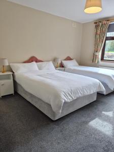a bedroom with two beds and a window at Hilltown House - Room Only in Wexford