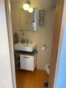 a bathroom with a sink and a mirror and a toilet at Ferienhaus Dresden in Dresden