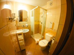 a bathroom with a shower and a toilet and a sink at Willa Anna Maria in Wysowa-Zdrój