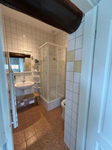 a bathroom with a shower and a sink and a toilet at B&B Grolloo in Grolloo