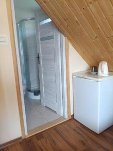 a bathroom with a shower and a white refrigerator at DG EWA w Polańczyku in Polańczyk +73 photos