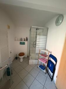 a bathroom with a shower and a toilet in it at Ferienwohnung Fam.Stecher in Malschwitz +9 photos