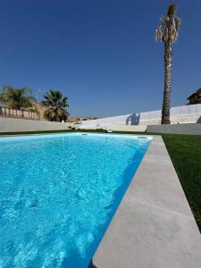 a blue swimming pool with a palm tree in the background at Villa Lina in Agrigento