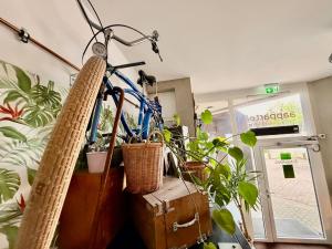 a bike is hanging in a room with plants at aappartel APARTHOTEL Herford in Herford