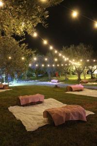 a group of tents on the grass under lights at Agriturismo Il Pozzo in Casal Velino