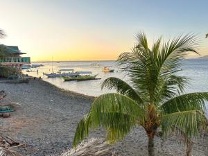 a palm tree on a beach with boats in the water at D Bamboo House in Mabini