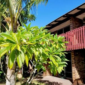 a palm tree in front of a house at Reef Villa- Kalbarri Central with Pool in Kalbarri