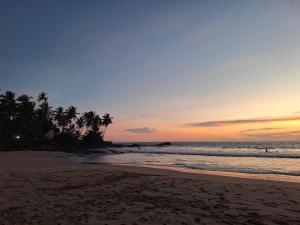 a beach with palm trees and the ocean at sunset at Ahungalla Ocean Villa in Ahungalla