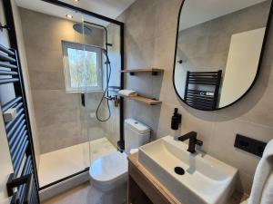 a bathroom with a sink and a mirror and a toilet at Seehaus Miersdorf in Zeuthen