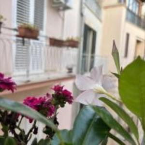 a plant with flowers in front of a window at Dioniso Affittacamere in Conversano