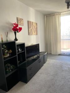 a living room with a flat screen tv on a entertainment center at Apartament przy górce in Biała Podlaska