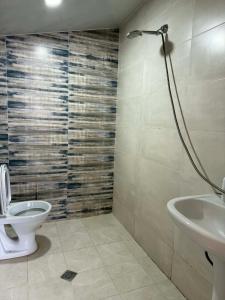 a bathroom with a toilet and a sink at ksenia apartment in Borjomi