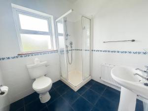 a bathroom with a shower and a toilet and a sink at Dingle Mist in Dingle +28 photos