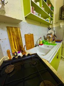 a kitchen with green cabinets and a sink at Appartement paisible in Tunis