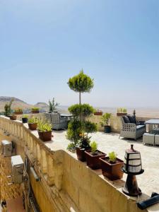 a row of potted plants sitting on a wall at Şahran konaği in Mardin