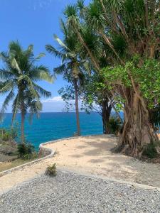 a beach with two palm trees and the ocean at Peaceful Turtle Camp in San Francisco