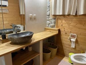 a bathroom with a sink and a toilet at La Marguerite in Aigueblanche