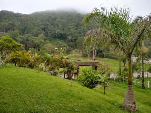 a lush green hillside with a palm tree and a house at Miracatu! Refúgio e Paz nas Montanhas in Miracatu