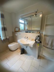 a bathroom with a sink and a toilet and a mirror at Meyer im Moor in Grasberg +19 photos