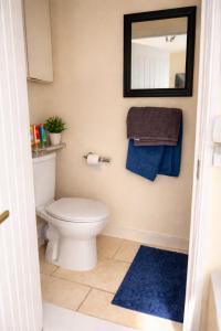 a bathroom with a toilet and a mirror and a blue rug at Heathrow Direct in Hillingdon