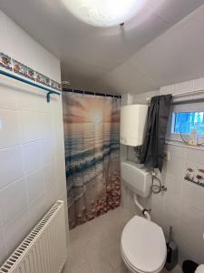a bathroom with a toilet and a shower at Tiny House mit Garten und Sauna in Karbach