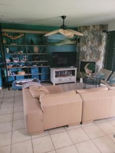 a living room with a couch and a tv at Maison cosy in Biganos +1 photo