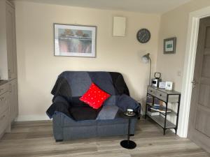 a living room with a gray couch with a red pillow at Heron's Rest Studio in Macroom