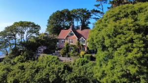 a house on top of a hill with trees at Treetop Cottage at Countisbury Lodge in Lynmouth