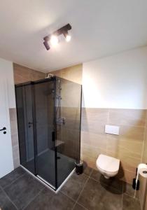 a bathroom with a shower and a toilet at der Untermühlbacher in Gnesau +6 photos